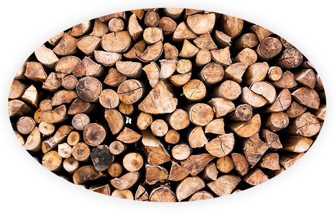 Erneuerbare Energien